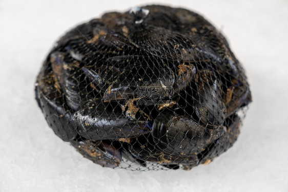 冰上包袋里的新鲜生贝类紧闭健康真空一顿饭图片