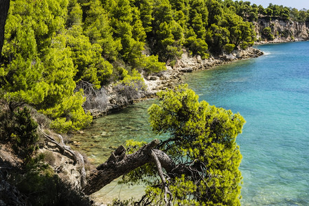 希腊斯波拉兹的阿洛尼索斯岩石海滩异国情调游客夏令图片