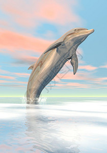 3d玉雕九鱼牡丹天空蓝色的阳光一头海豚在日落光下跳上海洋自由豚3d