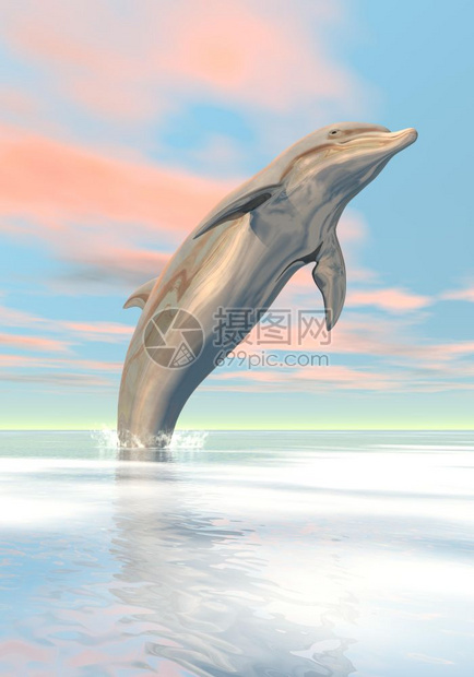 天空蓝色的阳光一头海豚在日落光下跳上海洋自由豚3D转化图片
