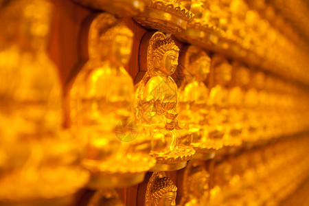 文化亚洲沿着佛教寺庙的墙上排成一列金形佛祖历史图片