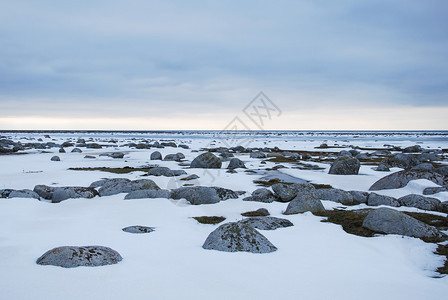 波罗的海西德群岛奥兰的美丽雪和岩石海岸线波罗多灰色的冷静地平线图片