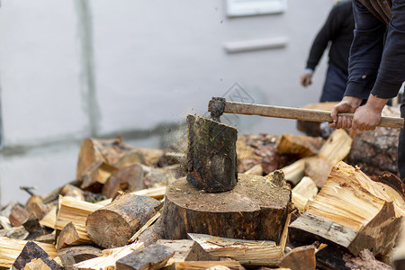 强的土耳其用砍断木柴的匠工人树桩图片