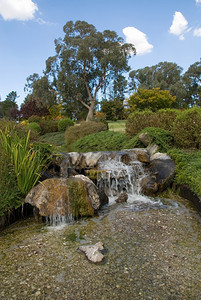 澳洲新南威尔士Cowra日本花园的一幕自然景观瀑布图片