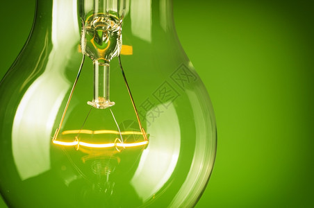 电力量创新绿色背景上紧贴的灯泡图片