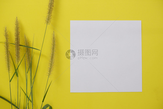 装饰风格桌上含有黄色背景和鲜花文字或图片空间的混版白纸作品图片