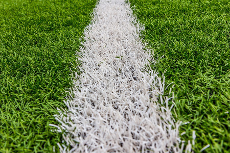 地毯带白条足球体育场的人工草造坪植物图片