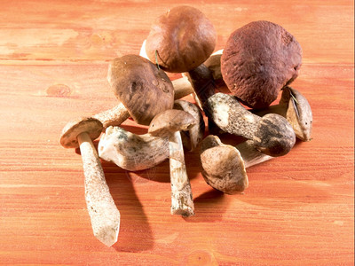 饮食可用的品木制桌上蘑菇混合秋天一连串新鲜蘑菇躺在木制背景上图片