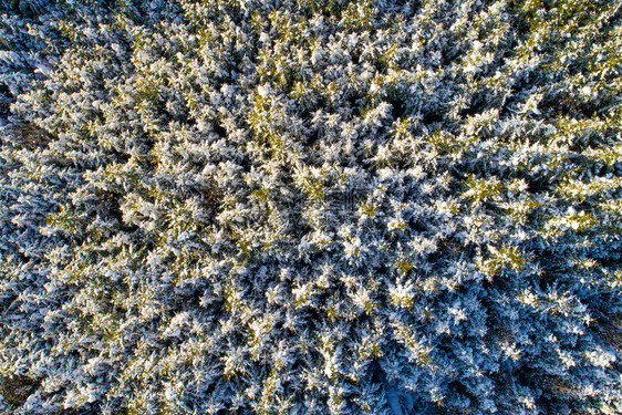 霜白雪的空中景象覆盖了迷宫森林阳光下有大量的采样天线冬图片