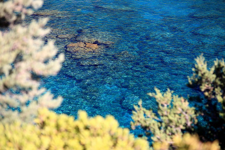希腊AnthonyQuinnBay的清水晶通过植物生命保持软焦点哈拉斯绿色奎因图片