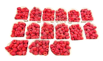 甜的自然用于销售新鲜红蓝莓的草白纸上孤立的鲜红兰莓有机图片