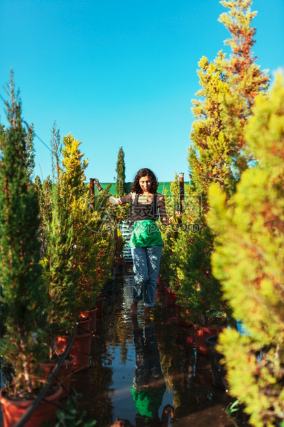 树叶木女园丁检查植物苗圃里的西波树颜色图片