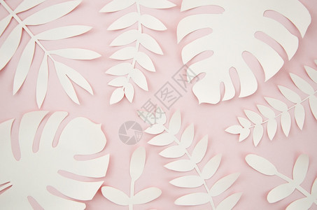 绿色盛开白的粉红背景人工叶纸切风格图片