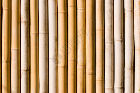 竹子做成的墙图片