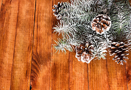 带雪的圣诞fir树木本底有锥子板框架分支背景图片