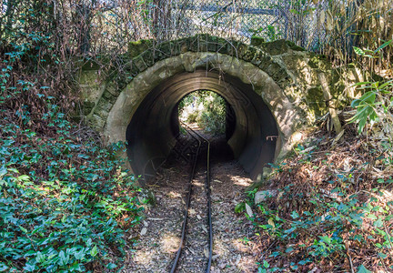 一种有管道隧和一些通用植被的小型铁路火车地道和一些通用植被追踪吸引力图片