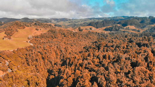 草新西兰沃多莫周围农村的空中景象图衬套蓝色的图片