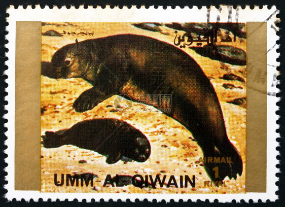 邮件UMMALQUWAIN大约1972年印在UmmalQuwain的邮票显示印章动物大约年集邮穿孔的图片