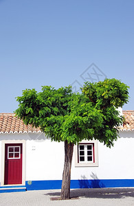 窗户旅行外葡萄牙科沃港的蓝白阿连特茹葡萄牙房屋图片