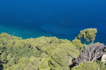 7月在西班牙巴利阿里群岛马洛卡西巴利阿里群高角观测到远低于西班牙马洛卡的沿海绿植被和海松地中水景观岛屿白天图片