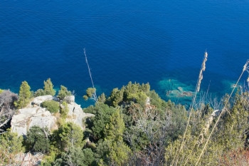 7月在西班牙巴利阿里群岛马洛卡西巴利阿里群高角观测到远低于西班牙马洛卡的沿海绿植被和海松地中水角度色一种图片