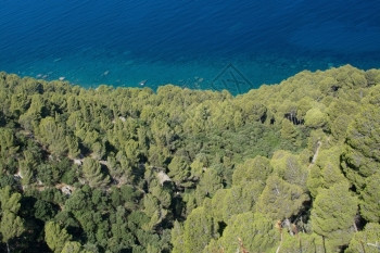蓝色的七月海景7在西班牙巴利阿里群岛马洛卡西巴利阿里群高角观测到远低于西班牙马洛卡的沿海绿植被和海松地中水图片