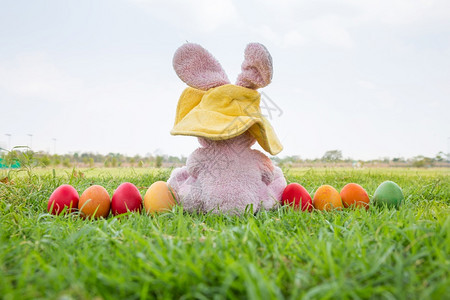 假期复活节耳朵富多彩的东边鸡蛋和兔子在绿草上戴帽图片