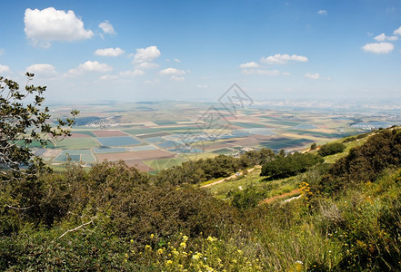 路春天以色列加利Gilboa山大片田地分布的全景湖泊图片
