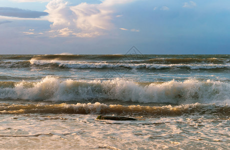 海浪浪花图片