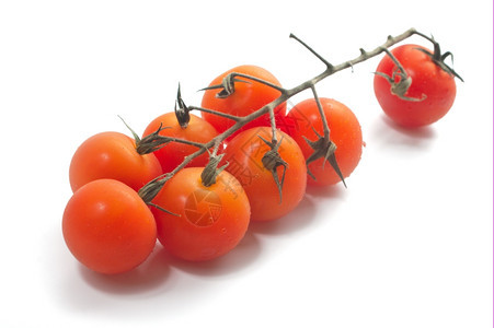 描述奥夫钦尼科葡萄藤上的樱桃西红柿带水滴团体图片