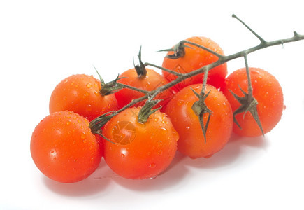 生的自然葡萄藤上樱桃西红柿带水滴食物图片