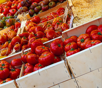 食物乡村木制的红番茄在市场上的木箱图片