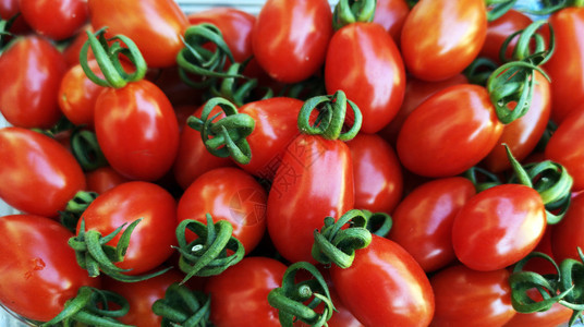 红西番茄作为背景色的食物农民图片