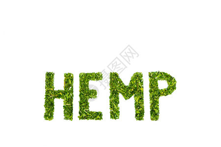 麻生长WordHEMMP由切绿草叶制成孤立于绿色背景高的图片