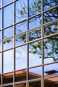 未来派在垂直架状现代建筑的玻璃墙面上有绿色树枝和蓝天空的瓷砖屋顶闪光反射市中心垂直的图片
