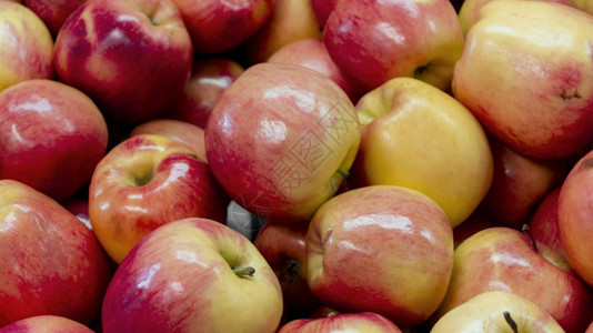 成熟新鲜饮食高分辨率照片美味苹果安排优质照片高量优美的苹果安排图片