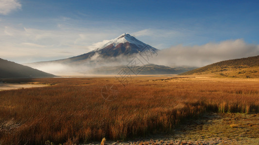 一种景观林皮蓬戈Limpiopombungo环礁湖与Cotopaxi火山的景象图片