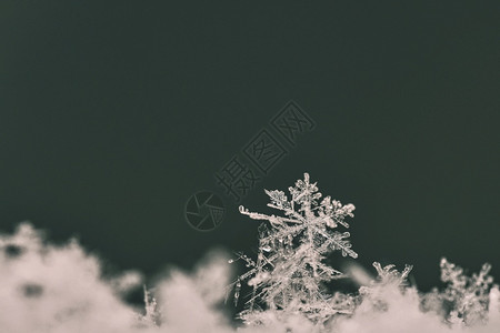六角形宽慰雪花宏观照片真正的雪晶美丽冬天背景季节自然和冬天的气象征图片