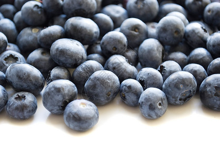 成熟白色背景上隔离的蓝莓堆积多汁圆形图片