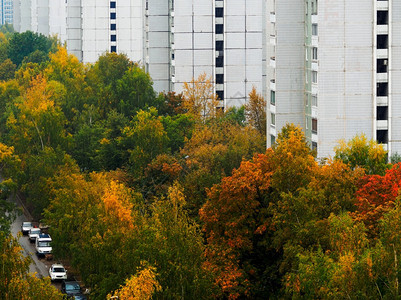 绿化秋建筑背景的二手地物业自然红色的图片