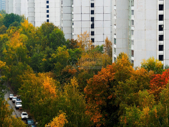 绿化秋建筑背景的二手地物业自然红色的图片