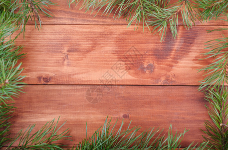 木形背景框状的Spruce树枝庆典生动云杉图片