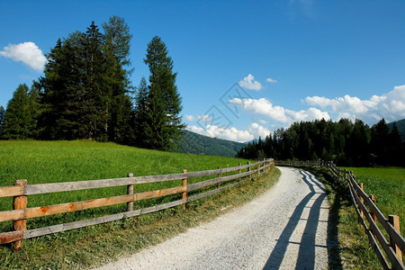 牧场天位于草原和森林之间的美丽高山乡村公路位于草地和森林之间的美丽高山乡村公路平静的图片