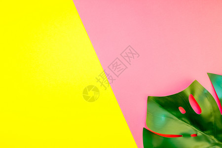 明亮的浅黄色和粉红纸面背景的叶子夏季创造平板文字概念模版供文本使用暑期时髦的复制图片