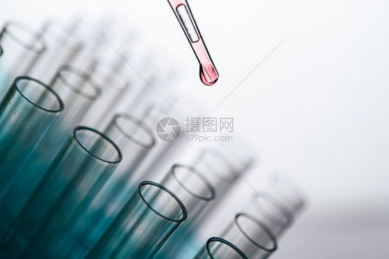 使用滴管进行实验图片