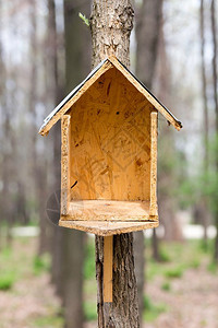 屋顶春天在树林里用木板和锌制成的手工鸟屋绞刑巢图片