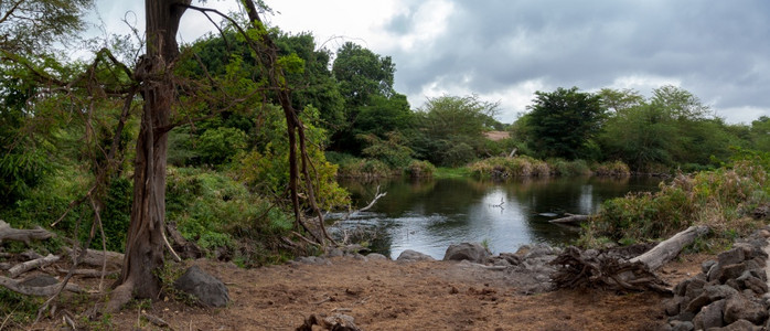 萨凡纳姆齐马弹簧肯尼亚风景中的湖Mzima泉图片