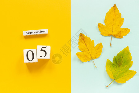 秋季作文木日历9月5日和黄色蓝背景上的黄秋叶顶视图平躺样机概念你好月秋季作文木日历月天躺着最佳图片