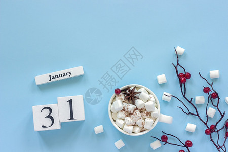 蓝色的1月3日可棉花糖和装饰品加红莓的杯子蓝底面上含红浆果平板观光复制空间1月3日可棉花糖和树枝浆1月3日季节会议图片