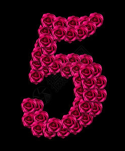 开花数字刻5号的爱概念形象由粉红色玫瑰制成在黑色背景上隔绝图片